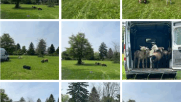 unser_zoo